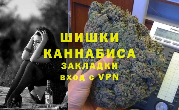 гашик Алексин