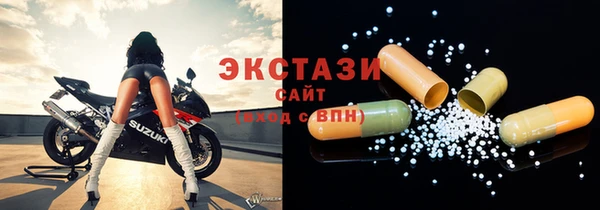 гашик Алексин