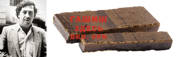 гашик Алексин