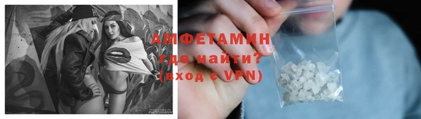 гашик Алексин