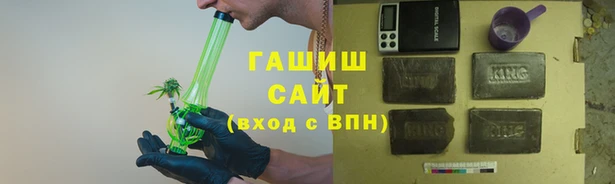 гашик Алексин