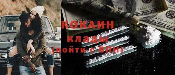 гашик Алексин