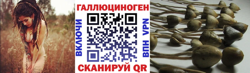 магазин  наркотиков  Кочубеевское  Галлюциногенные грибы MAGIC MUSHROOMS 